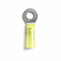 Ring Terminals - Heat Shrink Insulated - 18-HSY-10-Q